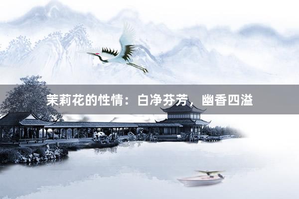 茉莉花的性情:白净芬芳,幽香四溢